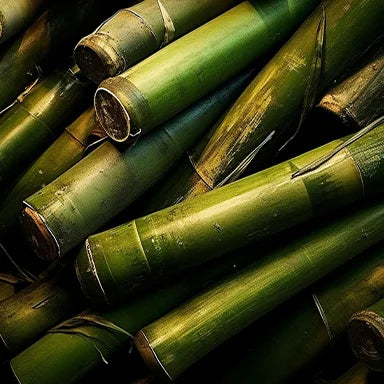 Fab Oils Bamboo extract for hair - what it is, what it does and how to use