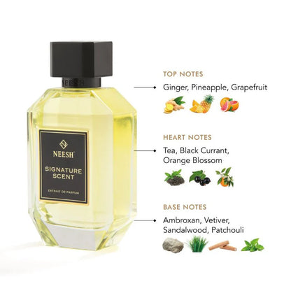 Signature Scent Perfume For Men