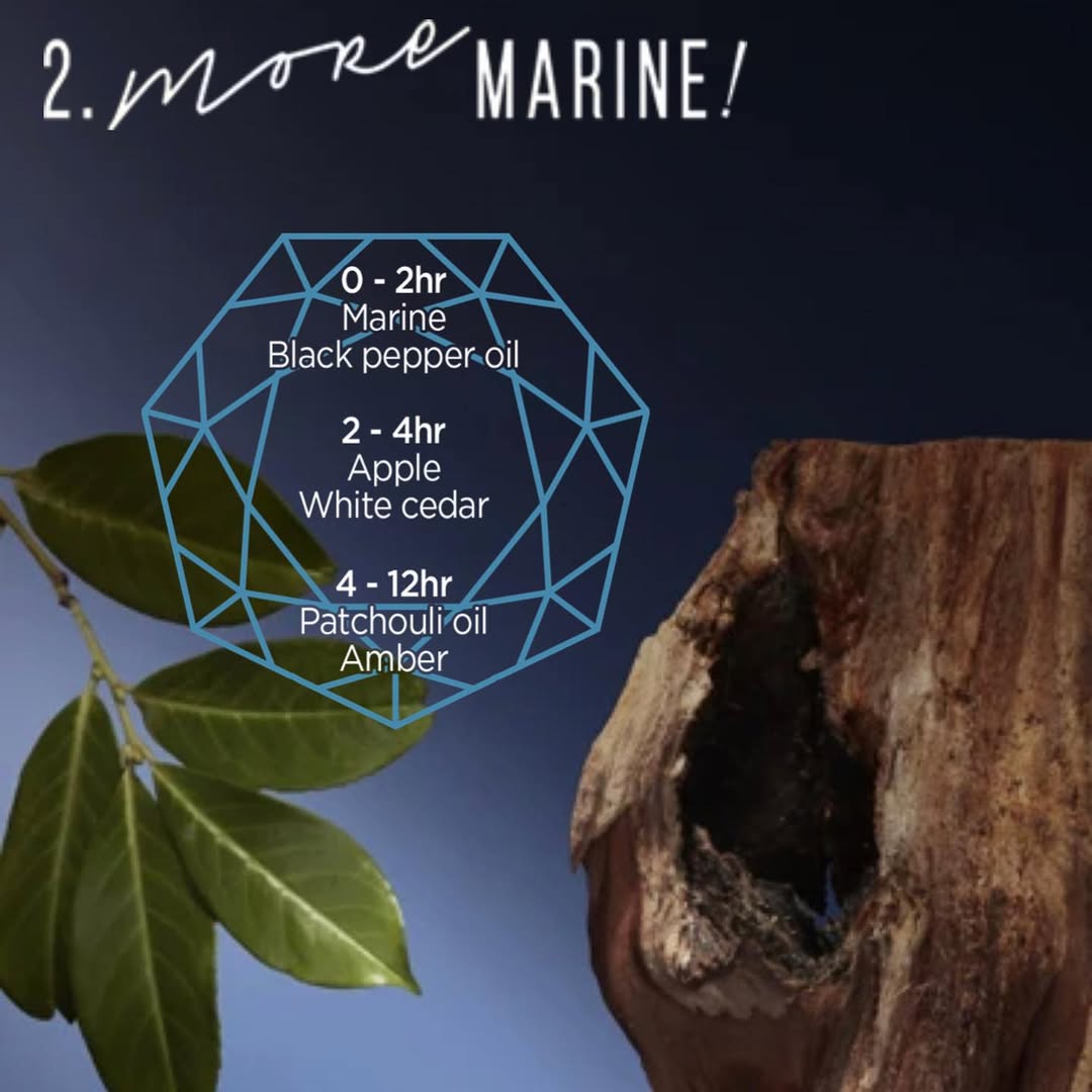 Judith Leiber Marine Refill Perfume - 25ml - VEILOIA